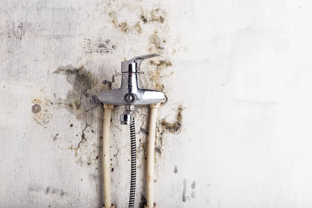 Water Damage Restoration in Seattle, WA
