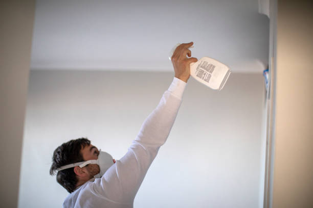 Mold Testing and Removal in Seattle, WA