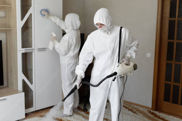 Best Toxic Mold Removal  in Seattle, WA