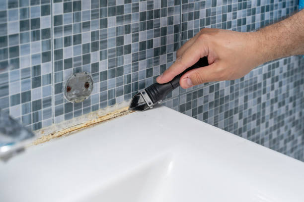 Best Mold Cleaning Services  in Seattle, WA