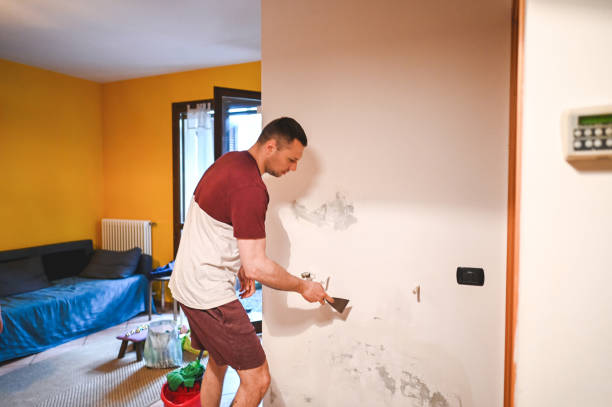 Best Mold Removal Process  in Seattle, WA